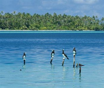 Opoa Beach Hotel Raiatea Bagian luar foto